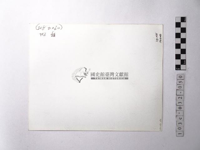 黃則修攝野柳地景蜂窩岩藏品圖，第2張