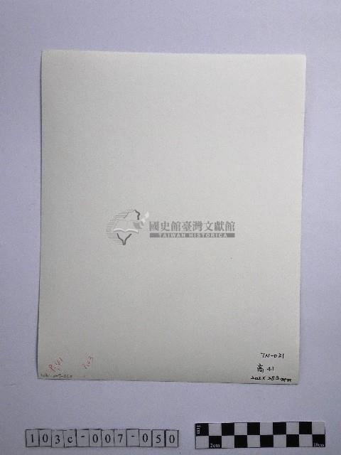 黃則修攝參天古木藏品圖，第2張