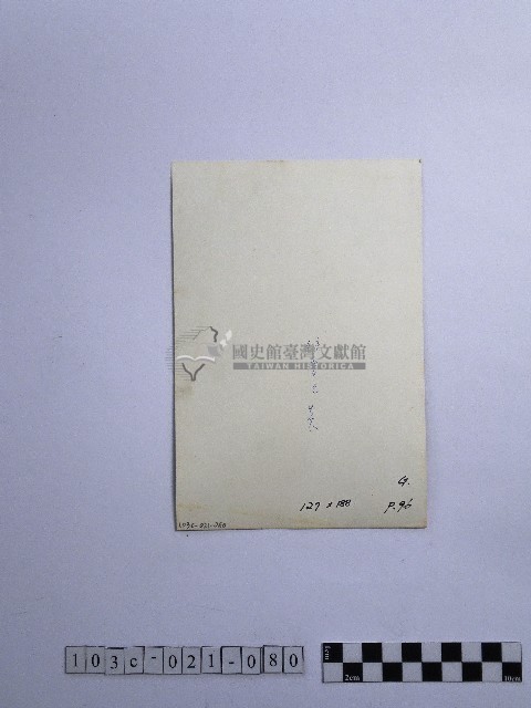 黃則修攝男子藏品圖，第2張