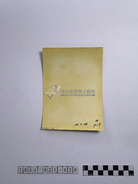 黃則修攝瓜筒藏品圖，第2張