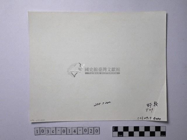 黃則修攝野柳地景藏品圖，第2張