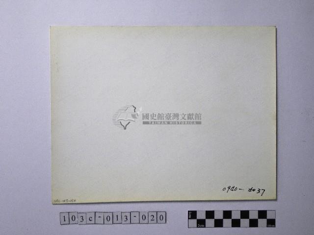 黃則修攝野柳地景風化紋藏品圖，第2張