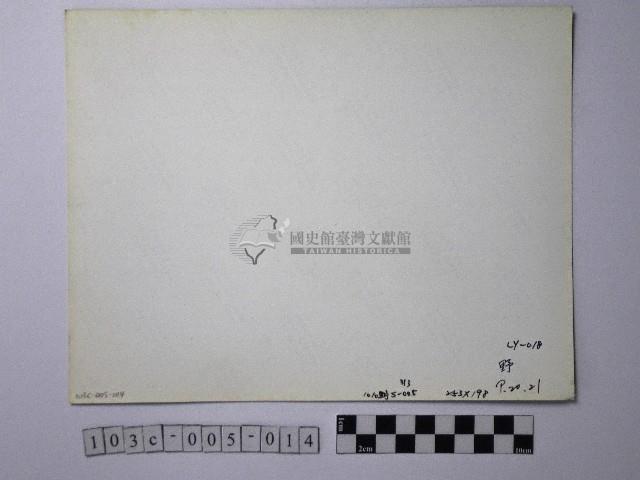 黃則修攝野柳地景燭臺石藏品圖，第2張