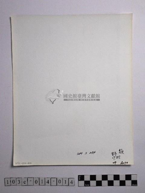 黃則修攝野柳地景藏品圖，第2張