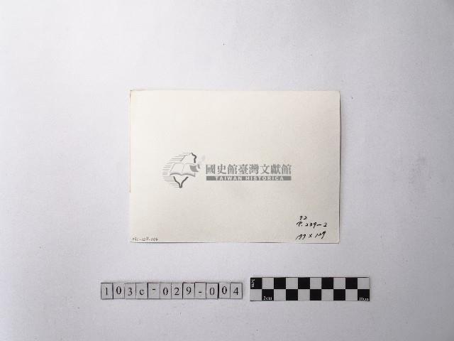 黃則修攝大安公園藏品圖，第2張