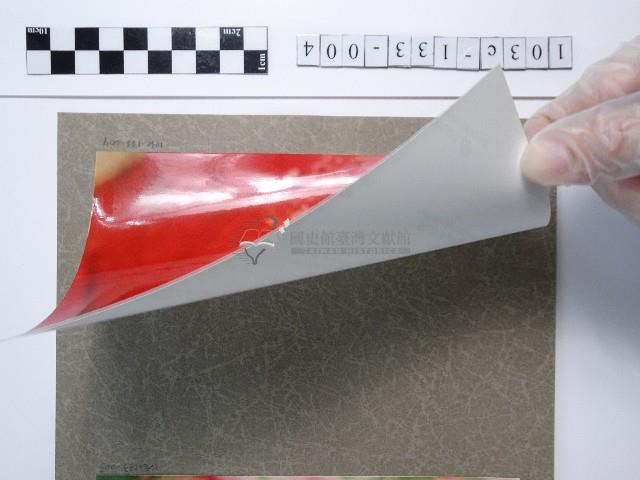 植物藏品圖，第2張