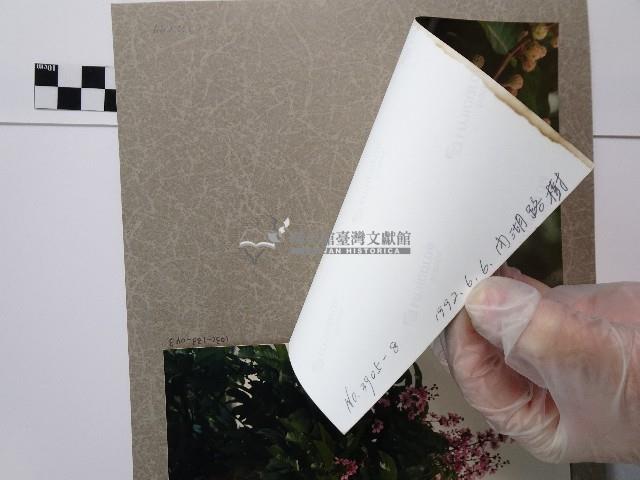 紫薇藏品圖，第2張