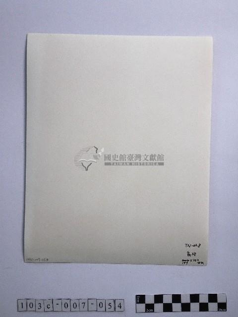 黃則修攝冰樹迎曦藏品圖，第2張