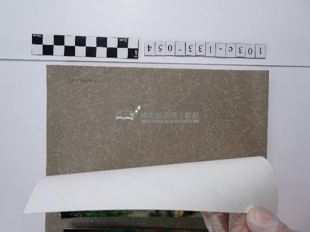 天人菊藏品圖，第2張