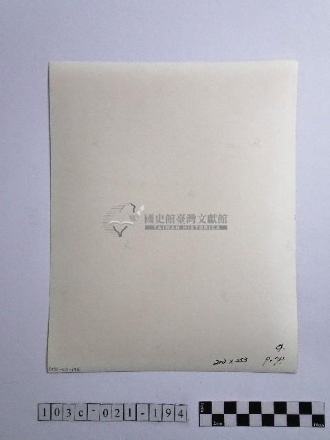 黃則修攝女性藏品圖，第2張