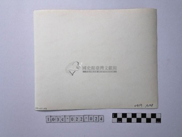 黃則修攝羊藏品圖，第2張