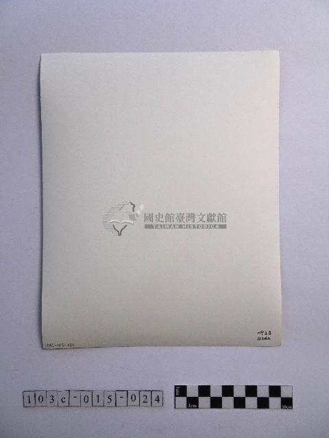 黃則修攝開花的樹木藏品圖，第2張