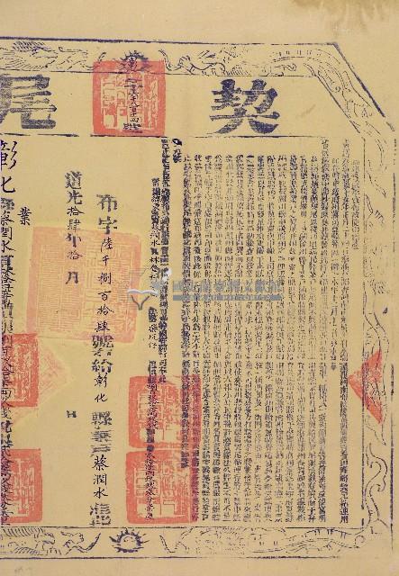 道光十三年林登科等四人立杜賣盡根契字（含契尾）藏品圖，第2張