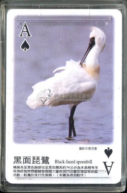 南路鷹工作室野鳥紀事4撲克牌藏品圖，第2張