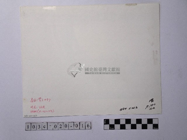 黃則修攝晒網藏品圖，第2張
