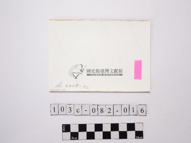 黃則修攝蘭花藏品圖，第2張