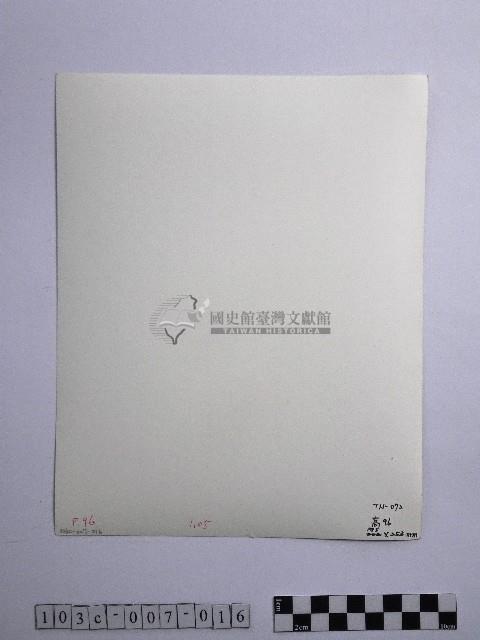 黃則修攝合歡主峰的冰樹藏品圖，第2張