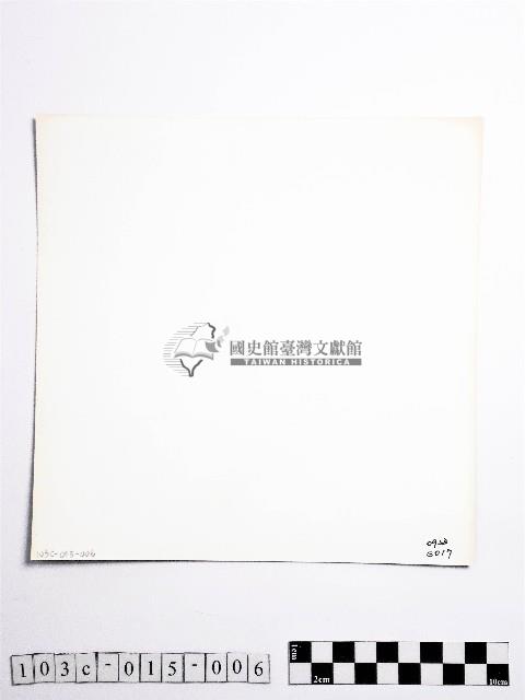 黃則修攝開花的樹木藏品圖，第2張