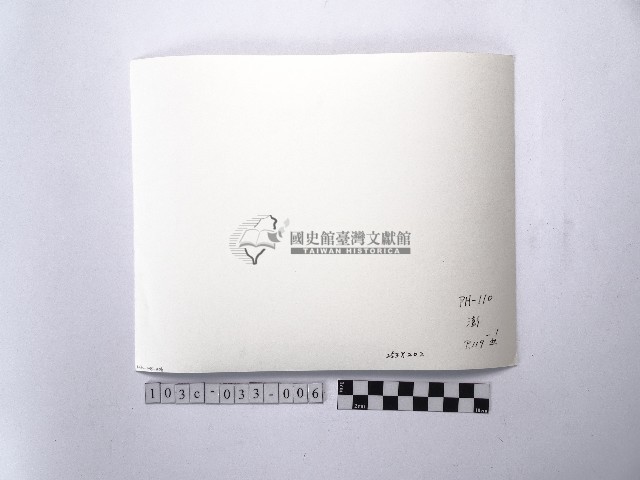 黃則修攝牛群藏品圖，第2張