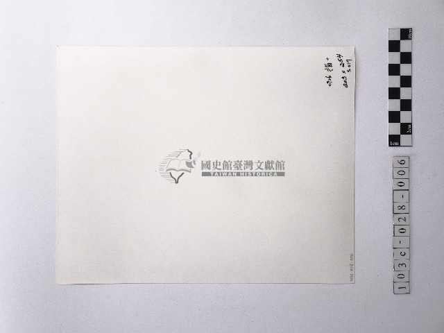 黃則修攝樹根特寫照片藏品圖，第2張