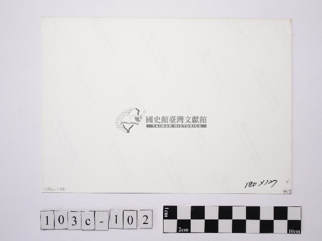 黃則修攝透光的葉子藏品圖，第2張