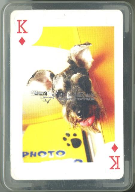 cardon字樣狗撲克牌藏品圖，第2張