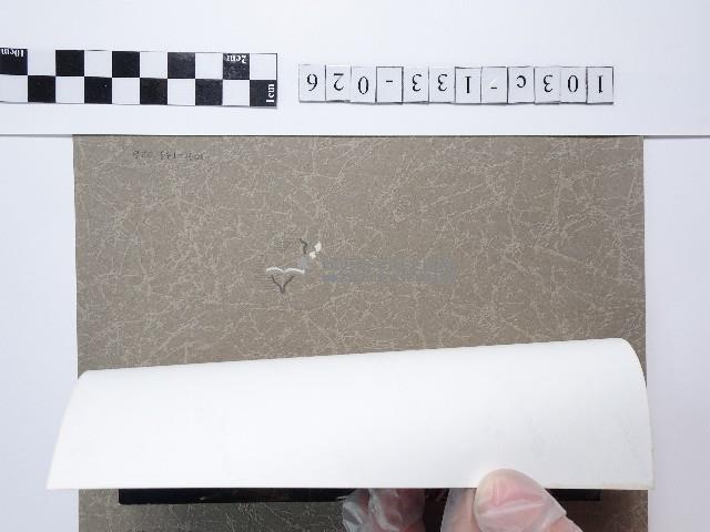 麵線菊藏品圖，第2張