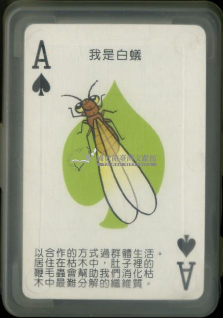 臺北市立動物園昆蟲館撲克牌藏品圖，第2張