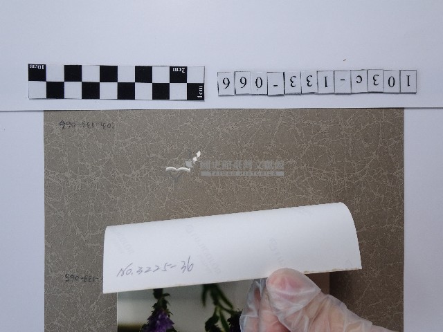 粉紅花卉藏品圖，第2張
