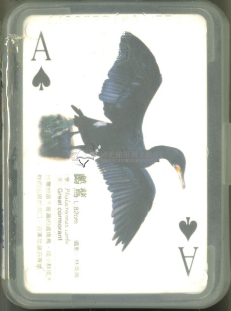 林英典攝影百鳥圖part2撲克牌藏品圖，第2張