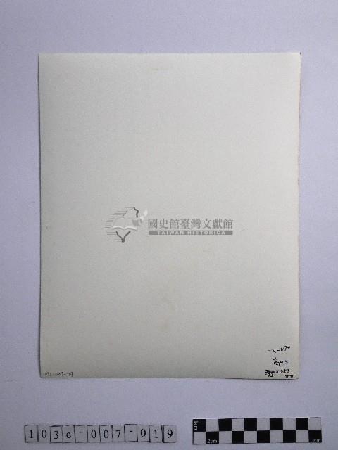 黃則修攝合歡山上結冰的巨木藏品圖，第2張