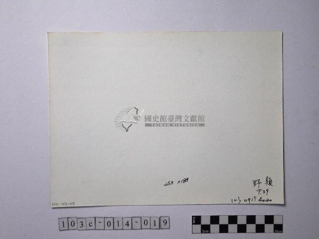 黃則修攝野柳地景藏品圖，第2張