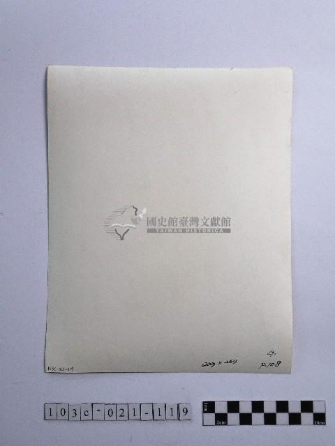 黃則修攝男子藏品圖，第2張