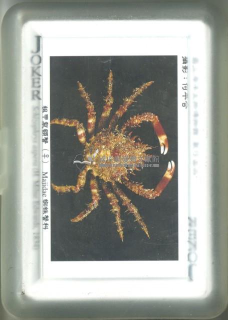 國立海洋生物博物館螃蟹撲克牌藏品圖，第2張