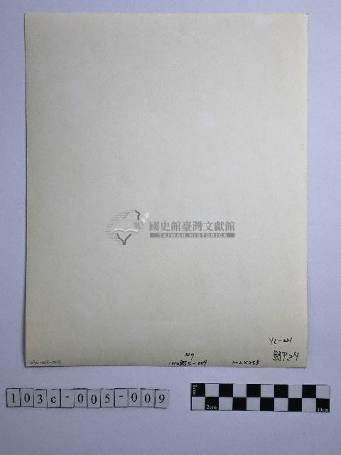 黃則修攝野柳地景藏品圖，第2張