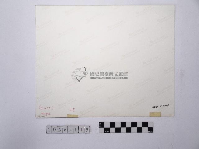 黃則修攝岸邊藏品圖，第2張