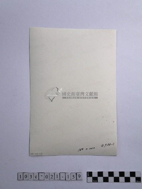 黃則修攝女子合影照藏品圖，第2張