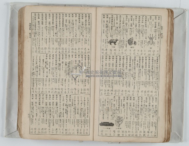 新修日用詞典內頁藏品圖，第2張