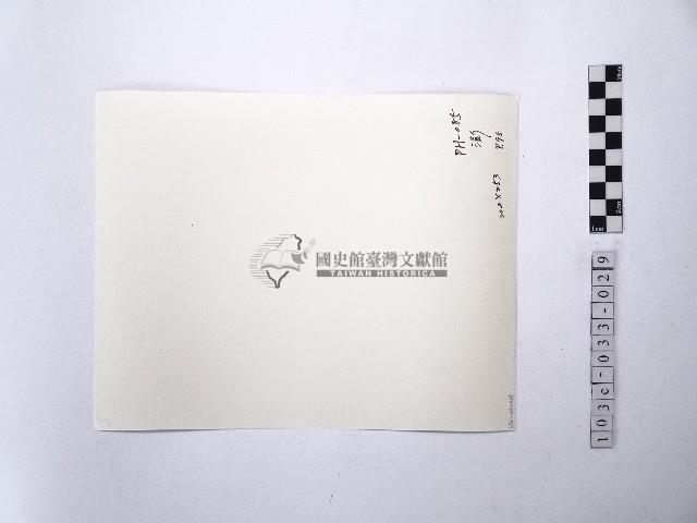 黃則修攝澎湖縣花天人菊藏品圖，第2張