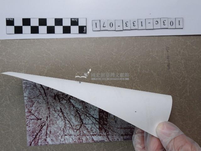 賞花藏品圖，第2張