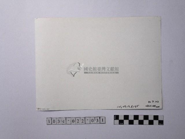 黃則修攝開花的樹木藏品圖，第2張