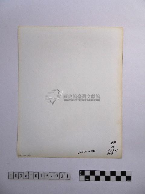 黃則修攝龍柱藏品圖，第2張