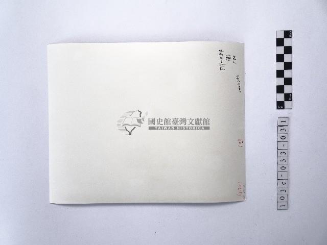 黃則修攝澎湖縣花天人菊藏品圖，第2張