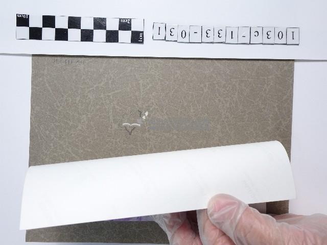 紫色烏頭花藏品圖，第2張