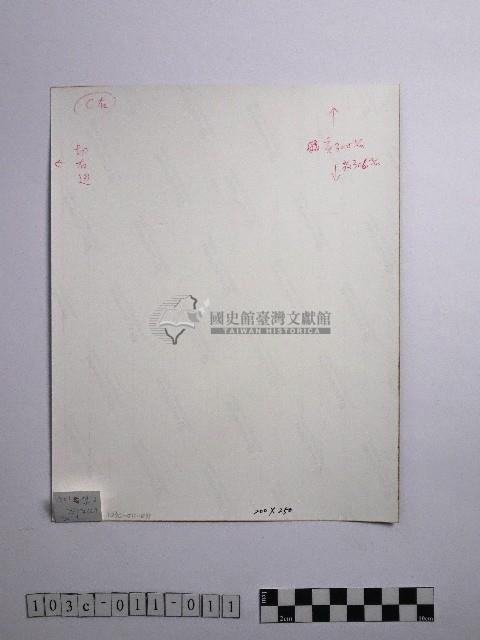 黃則修攝鬱金香1藏品圖，第2張