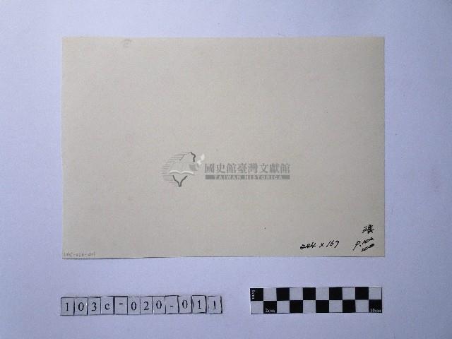 黃則修攝晒網藏品圖，第2張