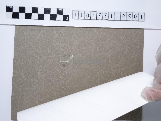 蘭花藏品圖，第2張