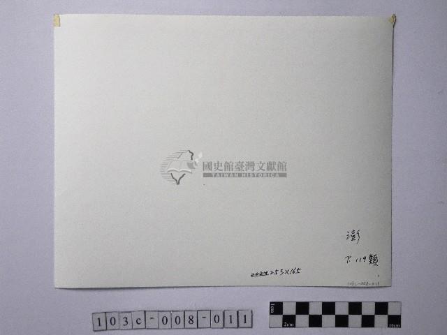 黃則修攝牛群藏品圖，第2張