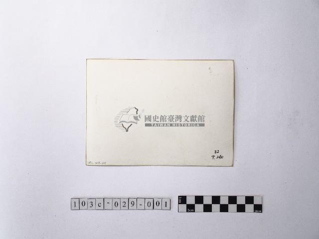 黃則修攝大安公園藏品圖，第2張