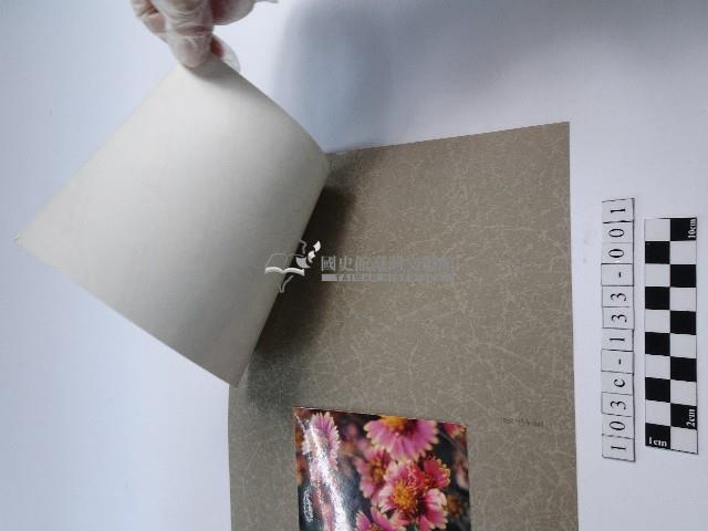 天人菊花叢藏品圖，第2張